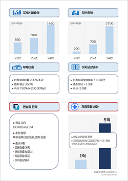 매출액, 자본총액, 부채비율, 이자보상배수, 컨설팅전략, 자금조달성과 이미지